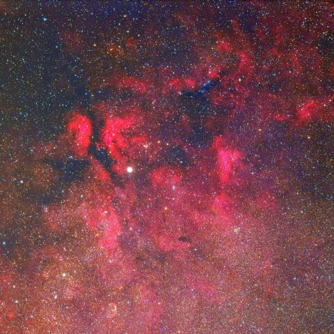 γCyg周辺 Oct. 2022