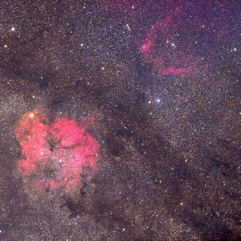 IC1396周辺 Oct. 2022