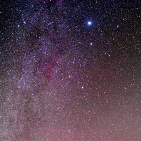 おおいぬ南側 Jan. 2023