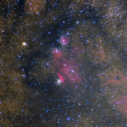 NGC6559周辺 Jun. 2023