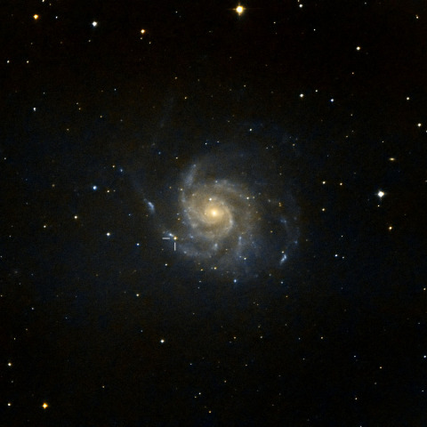 M101(SN2023ixf) Jul. 2023