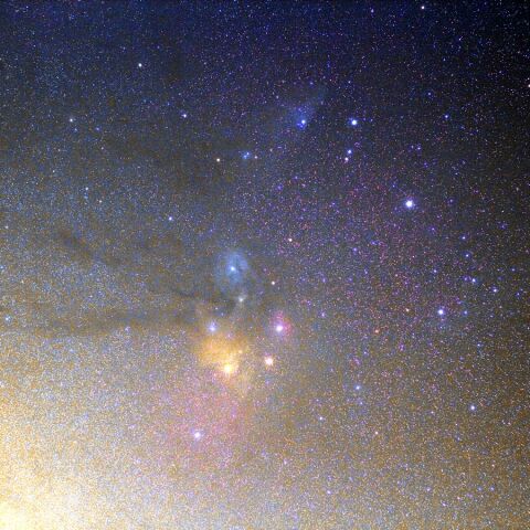 さそり頭部 Jun. 2023