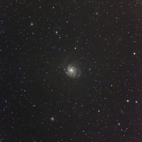 M101(SN2023ixf) Jun. 2023