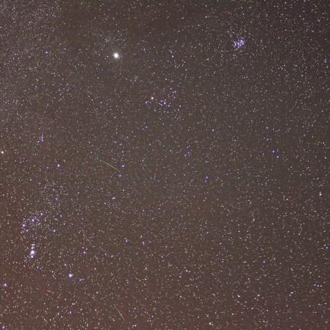 オリオン座流星群極大