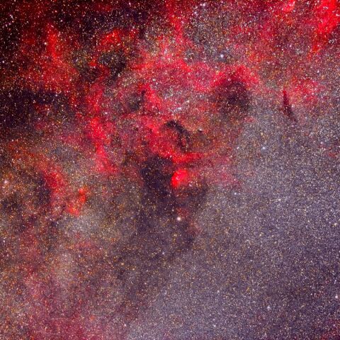 ηCyg周辺 Sep. 2023