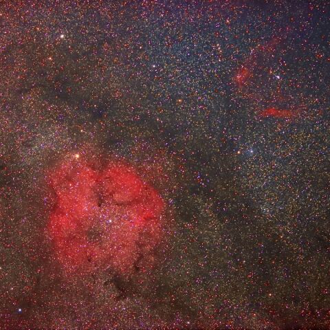 IC1396周辺 Sep. 2023