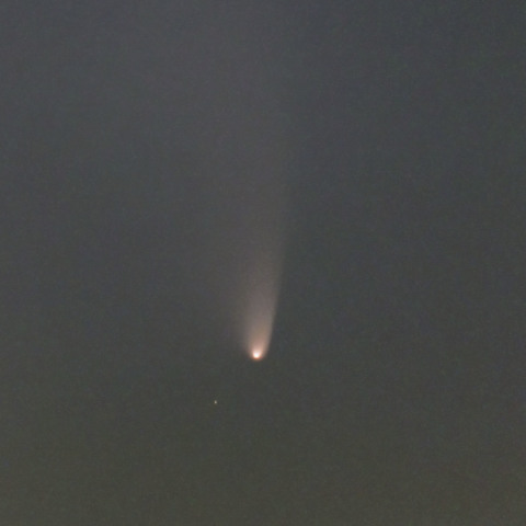 パンスターズ彗星