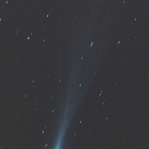 アイソン彗星１１月１６日