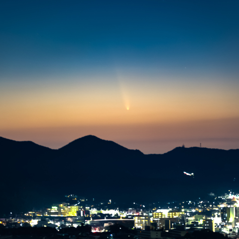 紫金山アトラス彗星