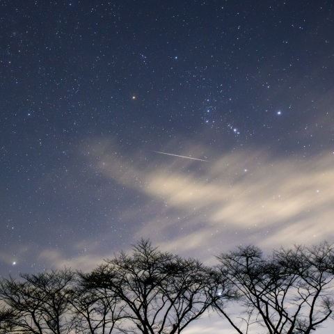 ふたご座流星群2020