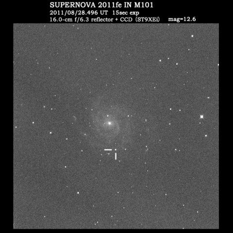 SN 2011fe in M101