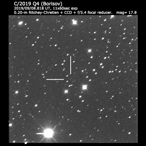 C/2019 Q4 (Borisov)