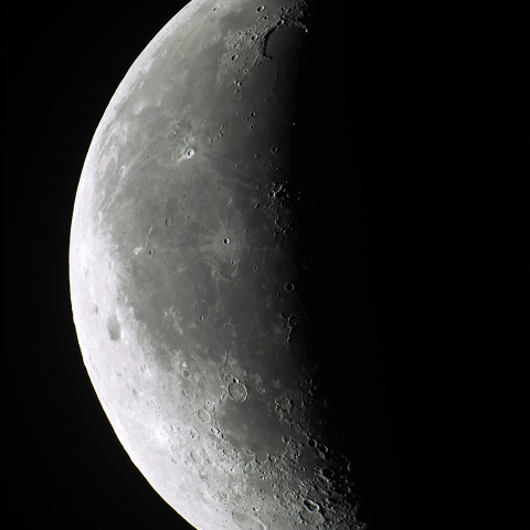 月齢23.9(2024/01/06)