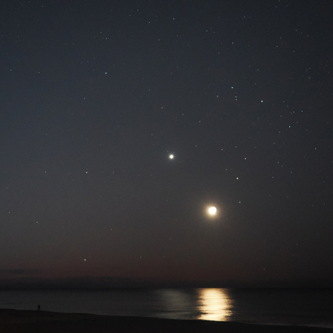 月と金星の接近
