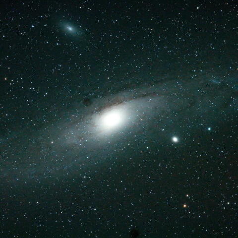 M31