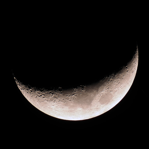 月齢4.5（2024/02/14）