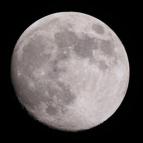 月齢13.1（2024/03/23）