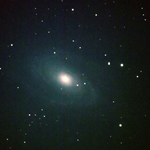 M81