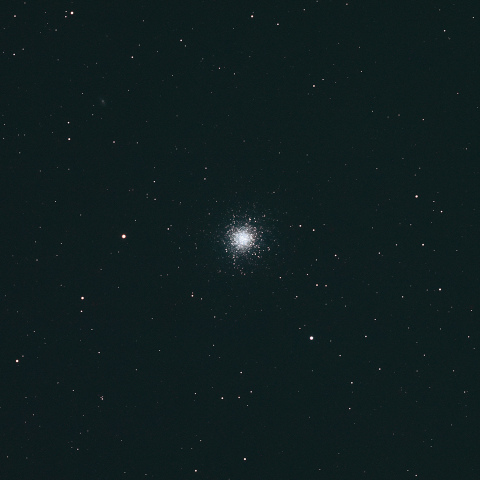 M13