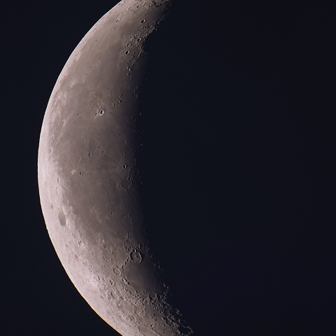 月齢25.1（2024/05/04）