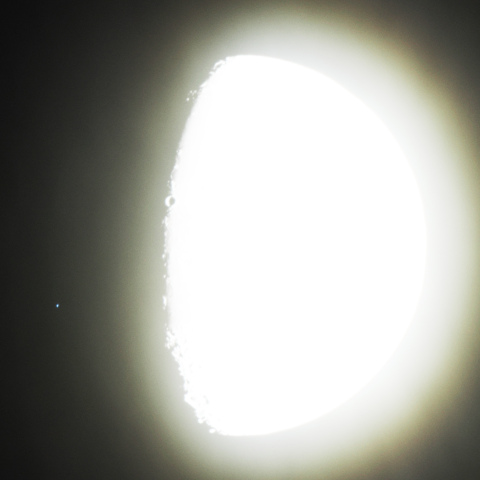 しし座σ星の食