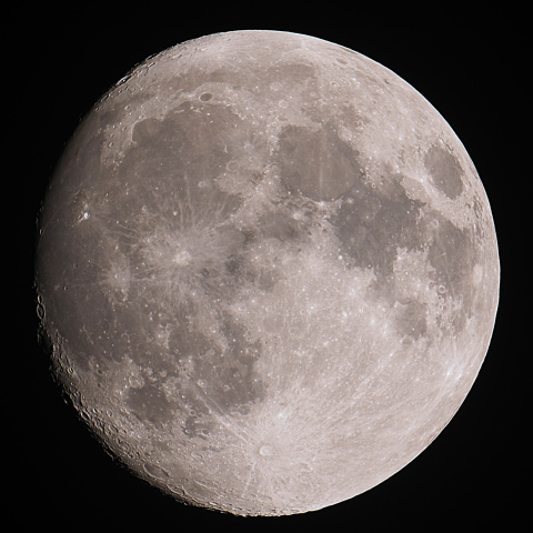 月齢13.3（2024/05/21）