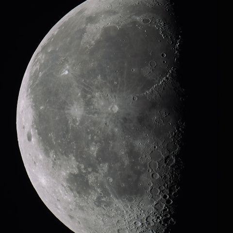 月齢21.7（2024/05/30）