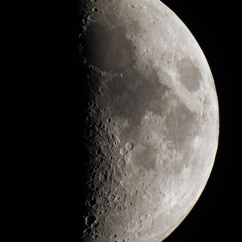 月齢7.0（2024/06/13）