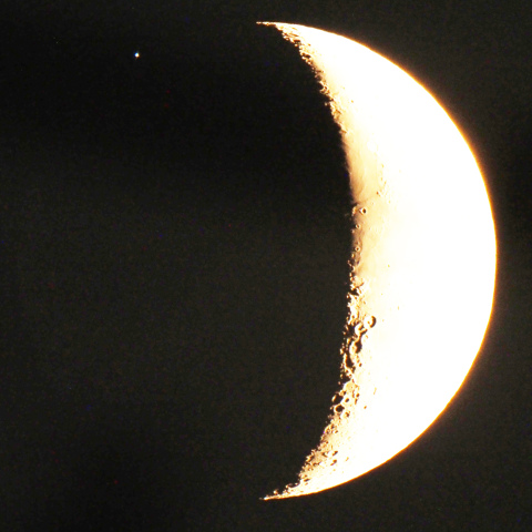 スピカ食（2024/08/10）