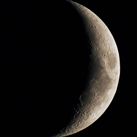 月齢5.3（2024/09/08）