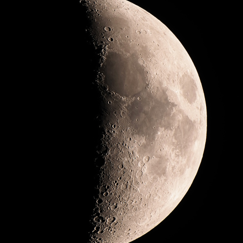 月齢6.9（2024/11/08）