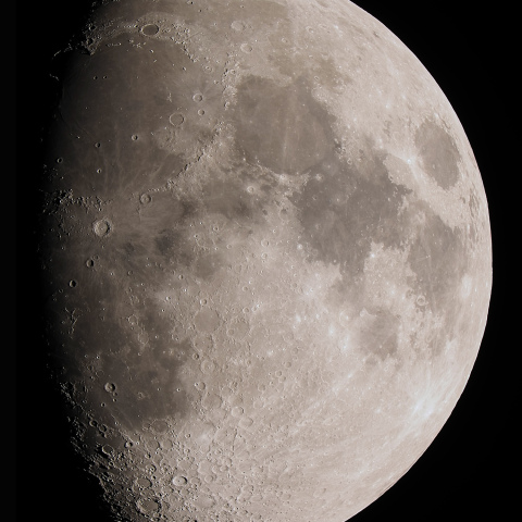 月齢9.9（2024/11/11）