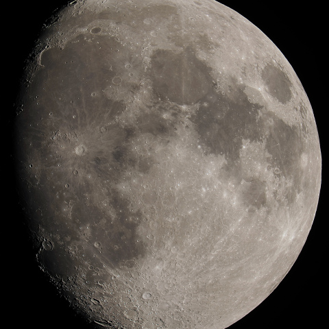 月齢10.9（2024/11/12）