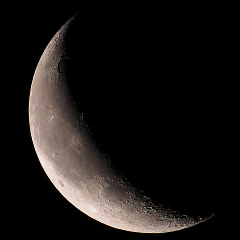 月齢24.3（2024/11/26）