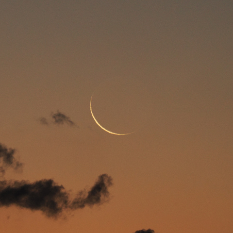 月齢28.3（2024/11/30）