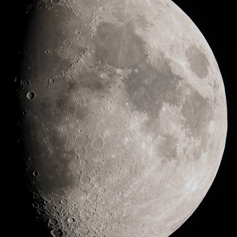 月齢9.1（2024/12/10）