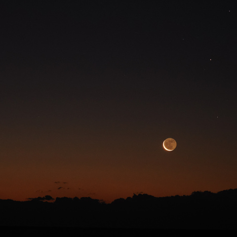 月齢27.6（2024/12/29）