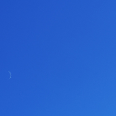 白昼の月と金星（2025/01/04）