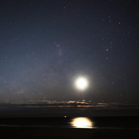 昇る月とさそり座