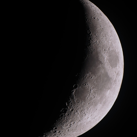 月齢4.9(2025/02/03)