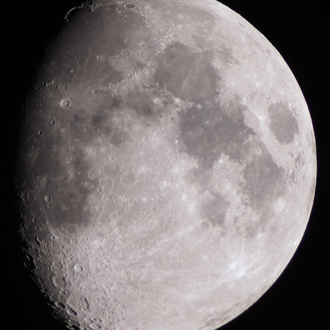 月齢9.9(2025/02/08)