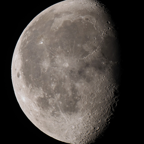 月齢19.8（2025/03/20）