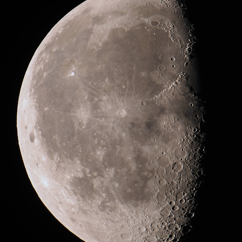 月齢20.8（2025/03/21）