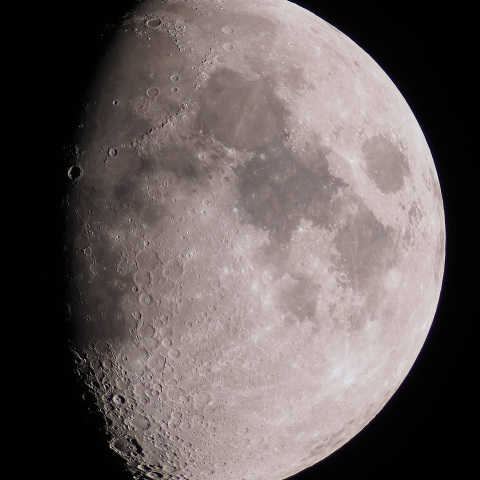 月齢9.0（2025/04/07）