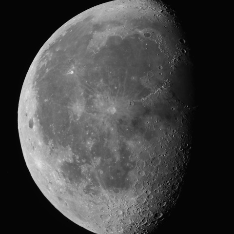 月齢20.3（2025/04/19）