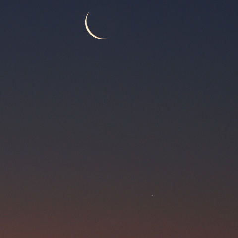 月と水星の接近（月齢27.4）