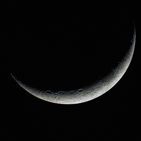 月齢3.0（2025/06/28）