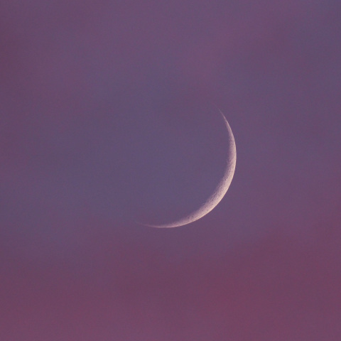 月齢2.6（2025/07/27）