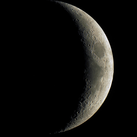 月齢4.7（2025/07/29）