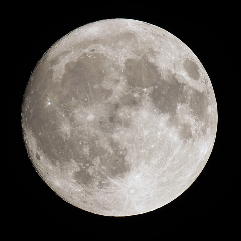 月齢14.7（2025/08/08）